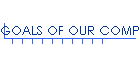 GOALS OF OUR COMPANY