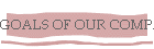 GOALS OF OUR COMPANY